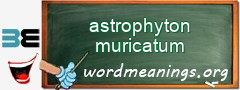 WordMeaning blackboard for astrophyton muricatum